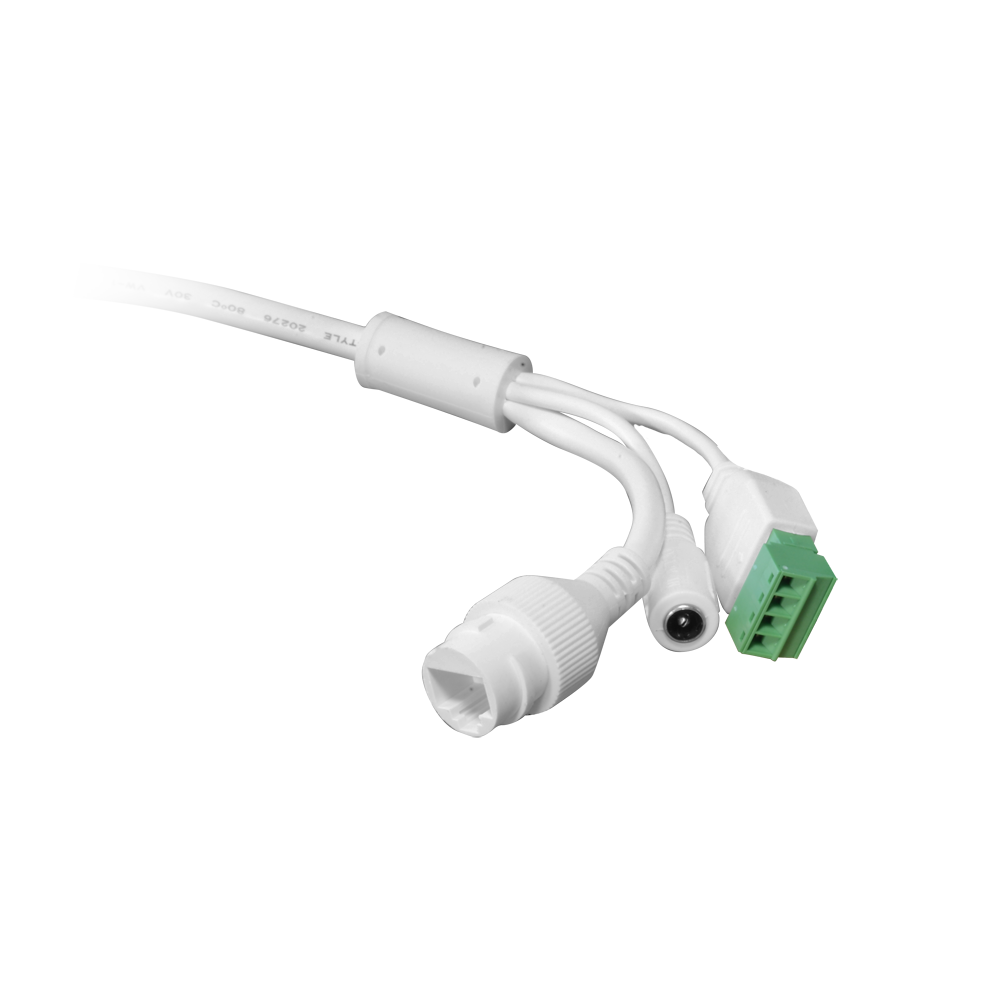 I1 6MP Fisheye Dome, 1.1mm, PoE