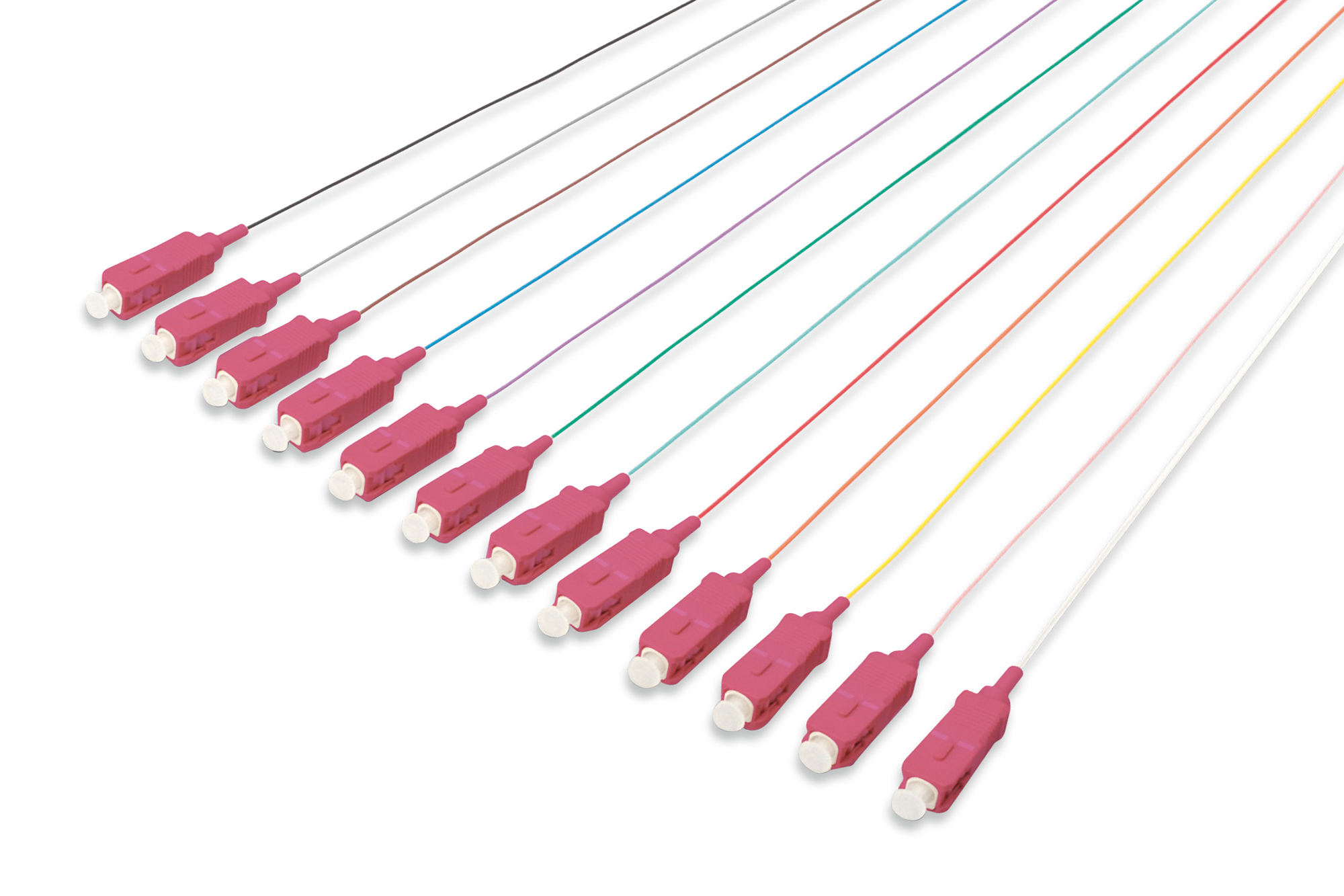 LWL Pigtail-Set SC, OM4, 2m, 12 Stück